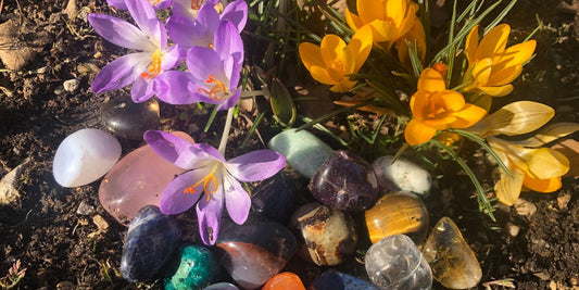 Gute-Laune-Steinchen passend zum Frühling!