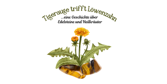 "Tigerauge trifft Löwenzahn"