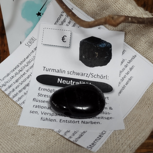 Schörl, schwarzer Turmalin Anhänger Neutralität