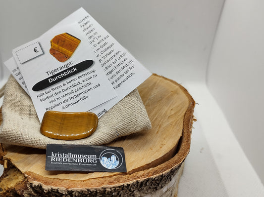 Tigerauge - Durchblick