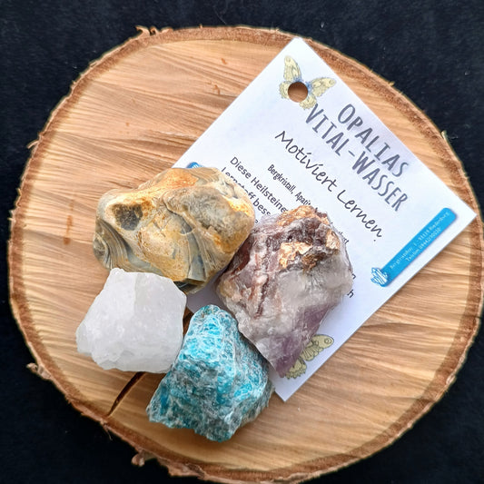 Vital-Wasser 'Motiviert Lernen'