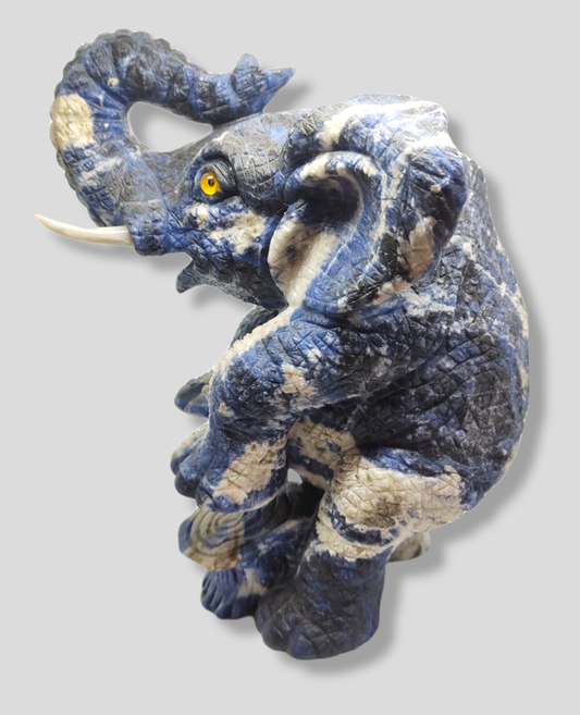 Elephant aus Sodalith