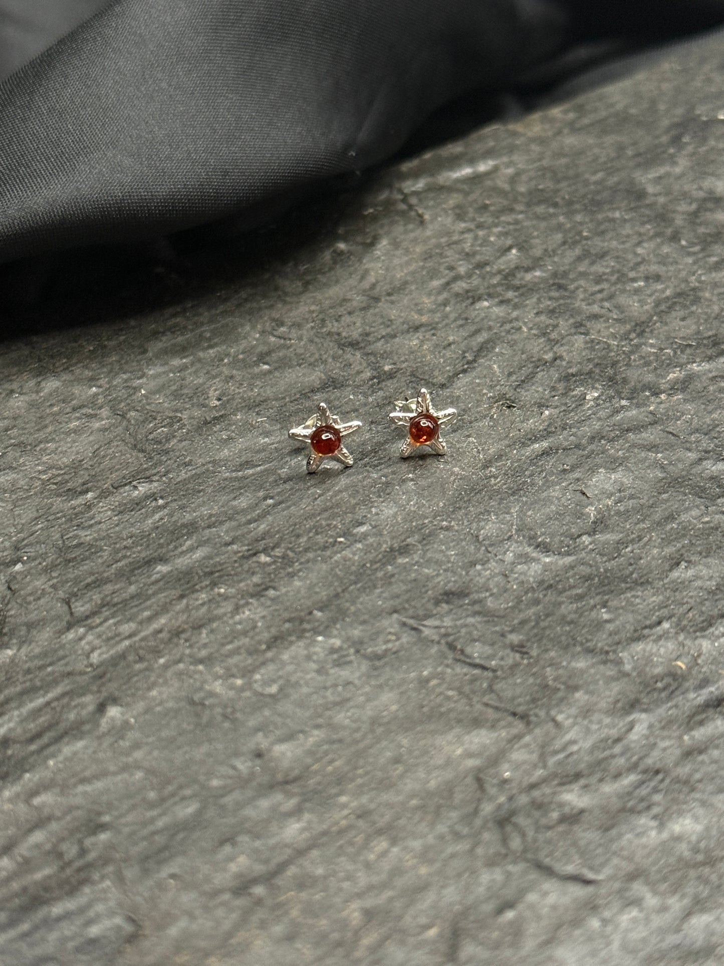 Bernstein Ohrstecker Stern